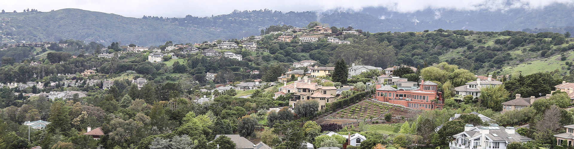 Aerial view of Tiburon homes on green hills